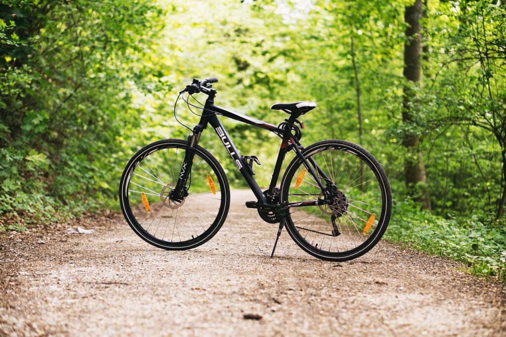 bicycle, bike, nature, forest, path, sports, outdoors, dirt road, mountain bike, wheels, bicycle wheels, parked, park, woods